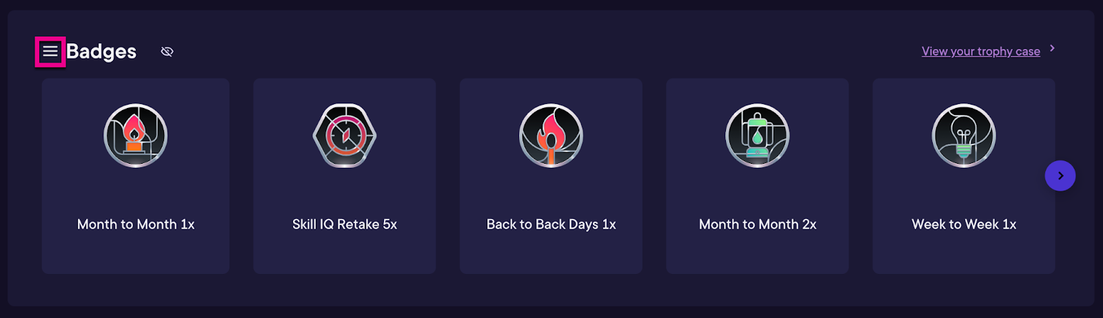 Horizontal view of badges