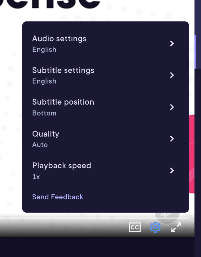 Video player settings menu.png
